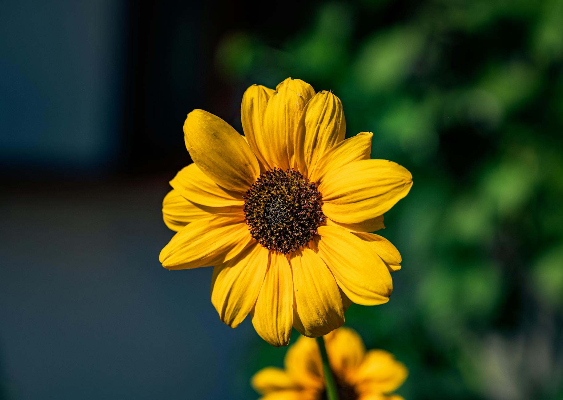 무료 폰트 다운로드 후 상업적 이용 범위 확인하는 매뉴얼