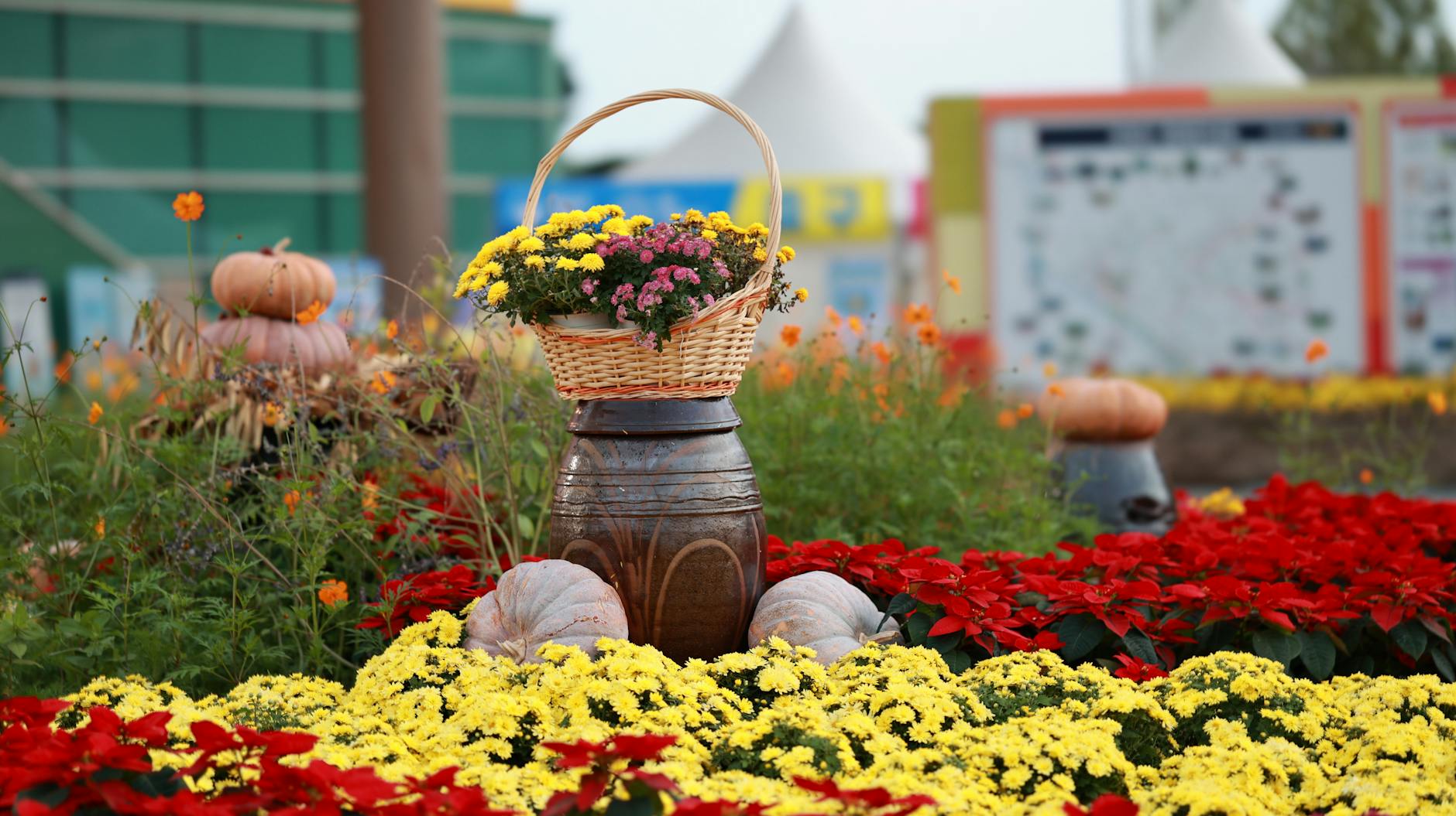 청남대 꽃축제 방문 가이드 총정리