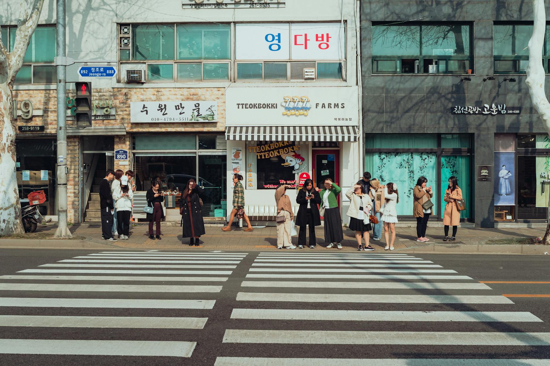 횡단보도 우회전 단속 기준 변경 내용 정리
