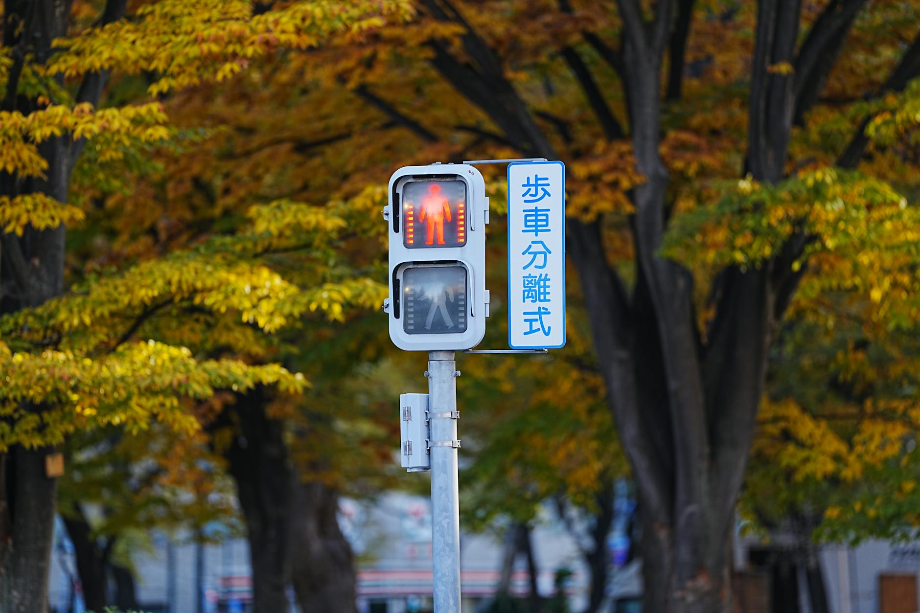 횡단보도 우회전 단속 기준 변경 내용 정리