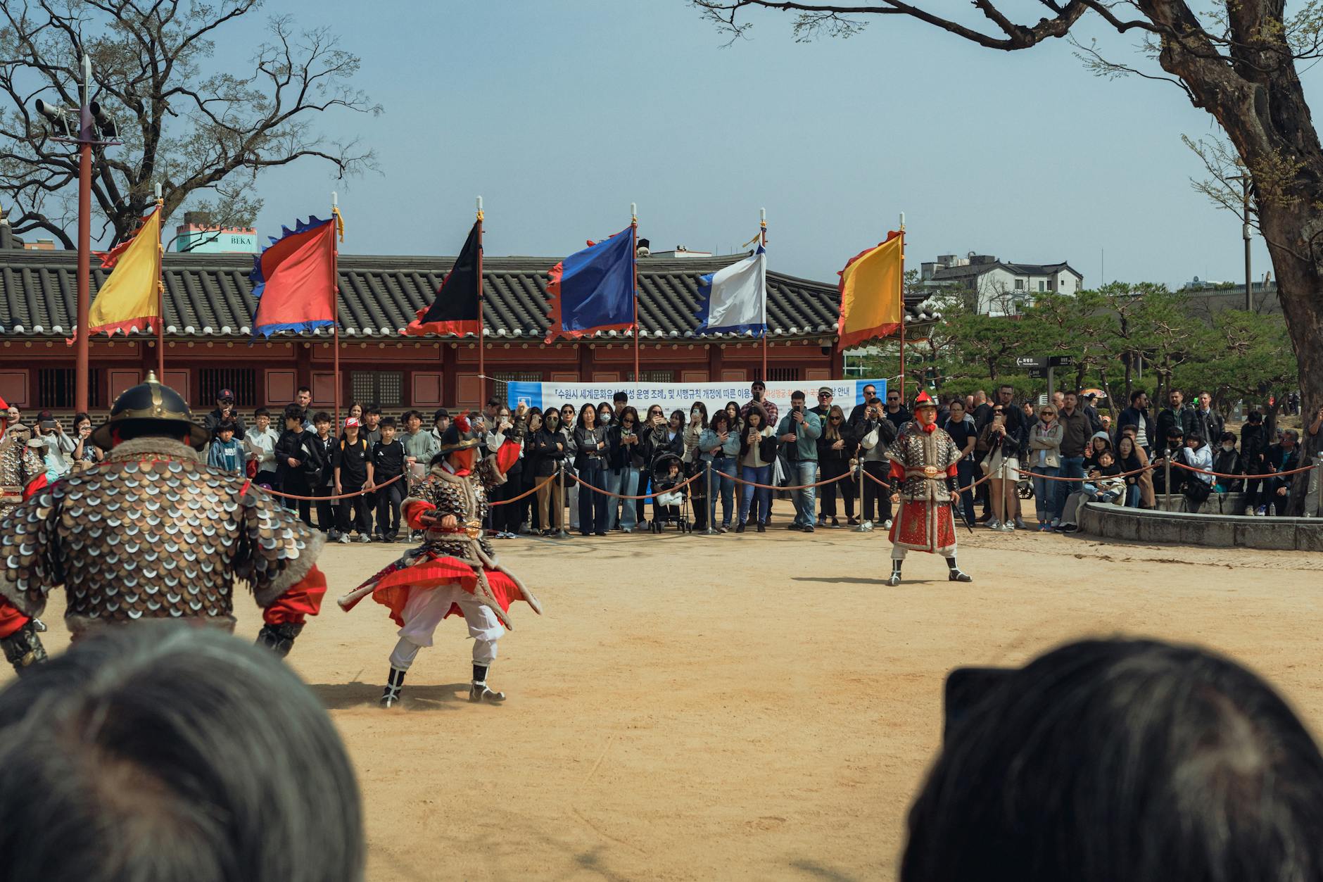 서울스프링페스티벌 일정 확인과 관람 기준 정리