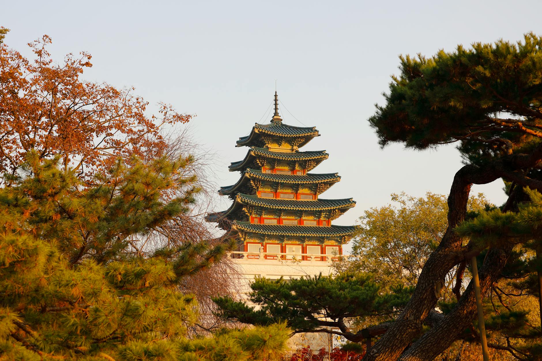 경복궁 야간개장 예약 방법 확인하고 티켓 확보하기