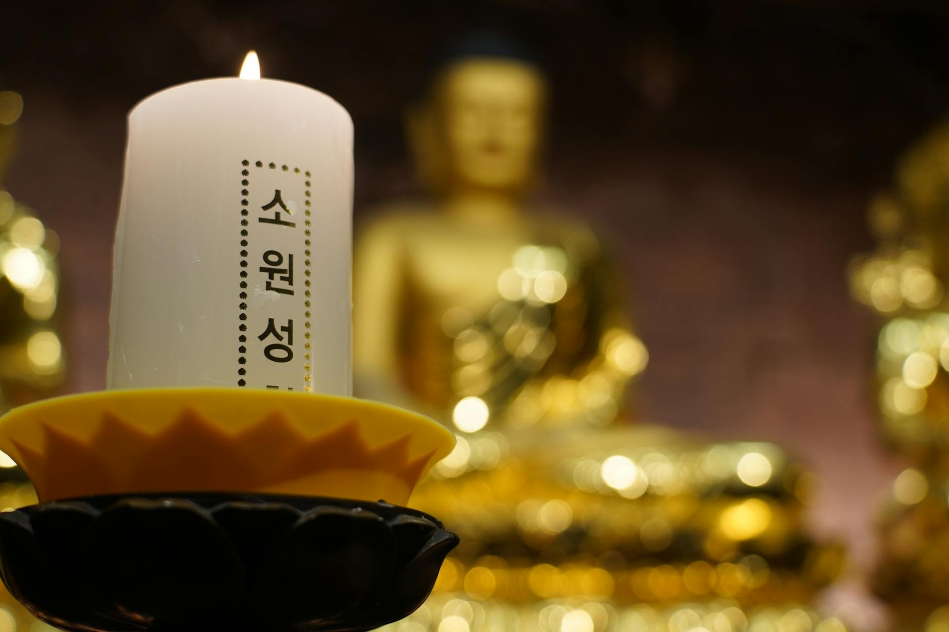 서울 수도권 전등사 방문 기준과 코스 정리