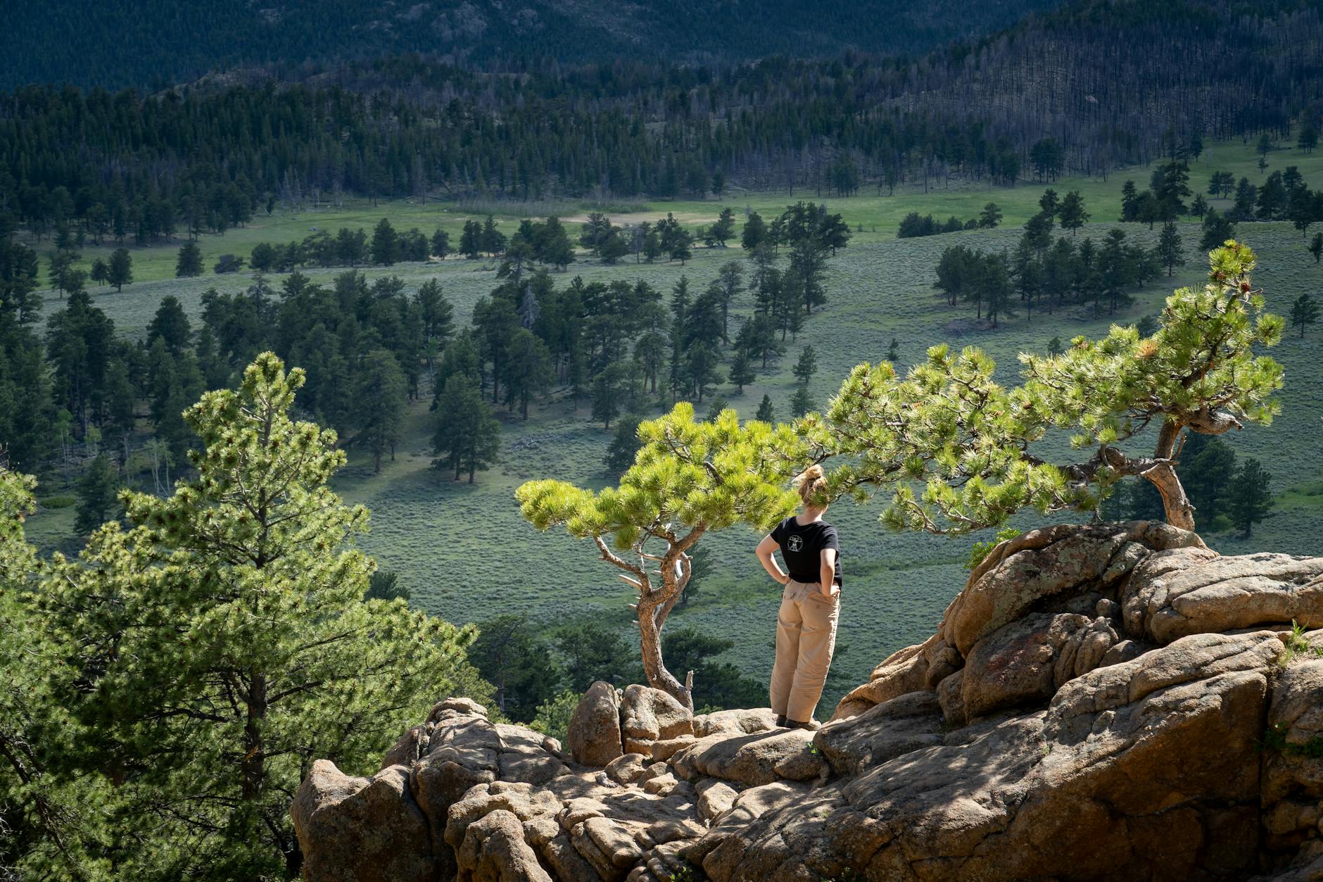 국립휴양림 예약하기 방법과 이용 기준 확인 3 국립휴양림 예약하기 방법과 이용 기준 확인