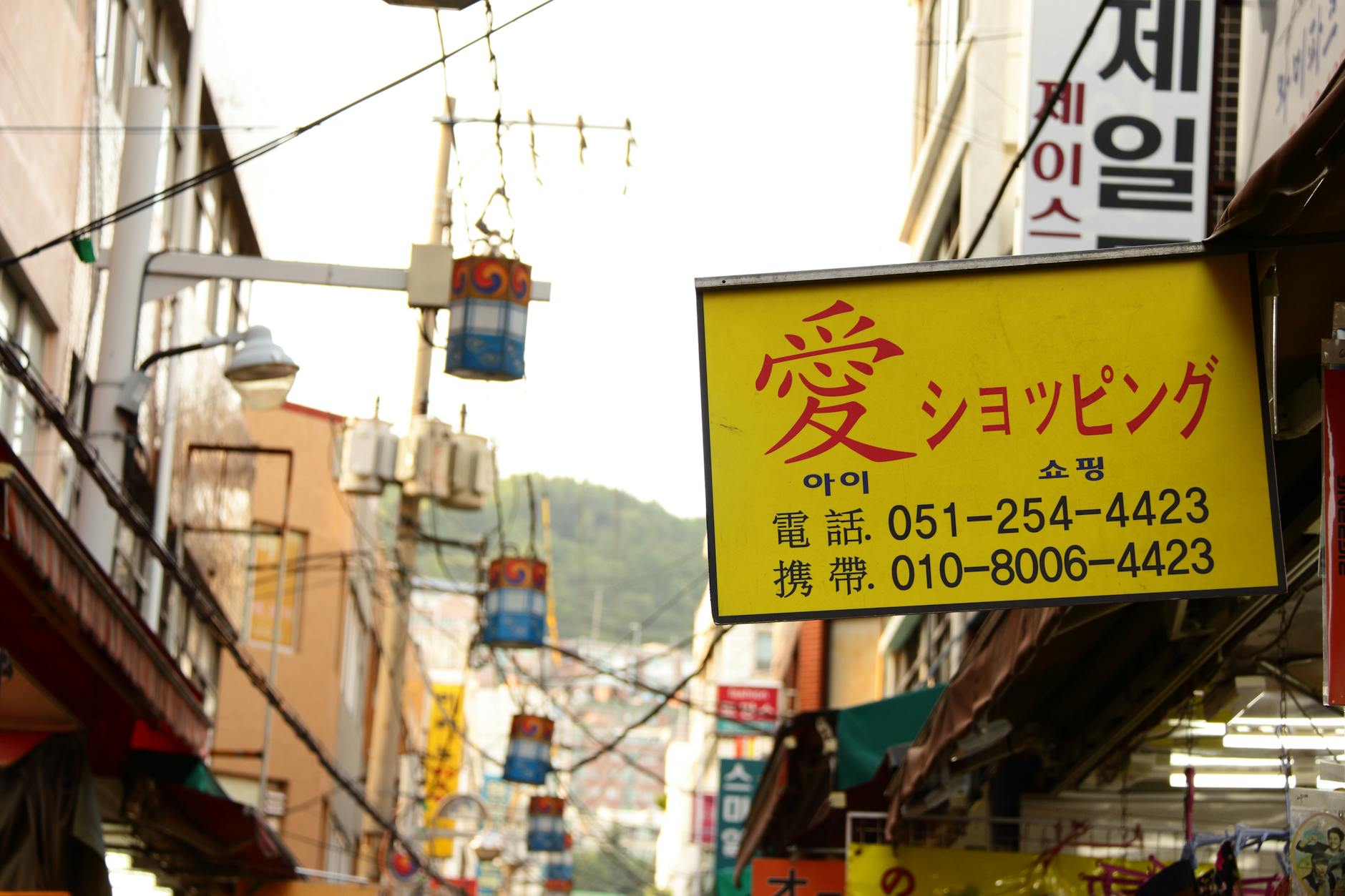 순천 웃장 장날 날짜 확인 기준과 일정 정리