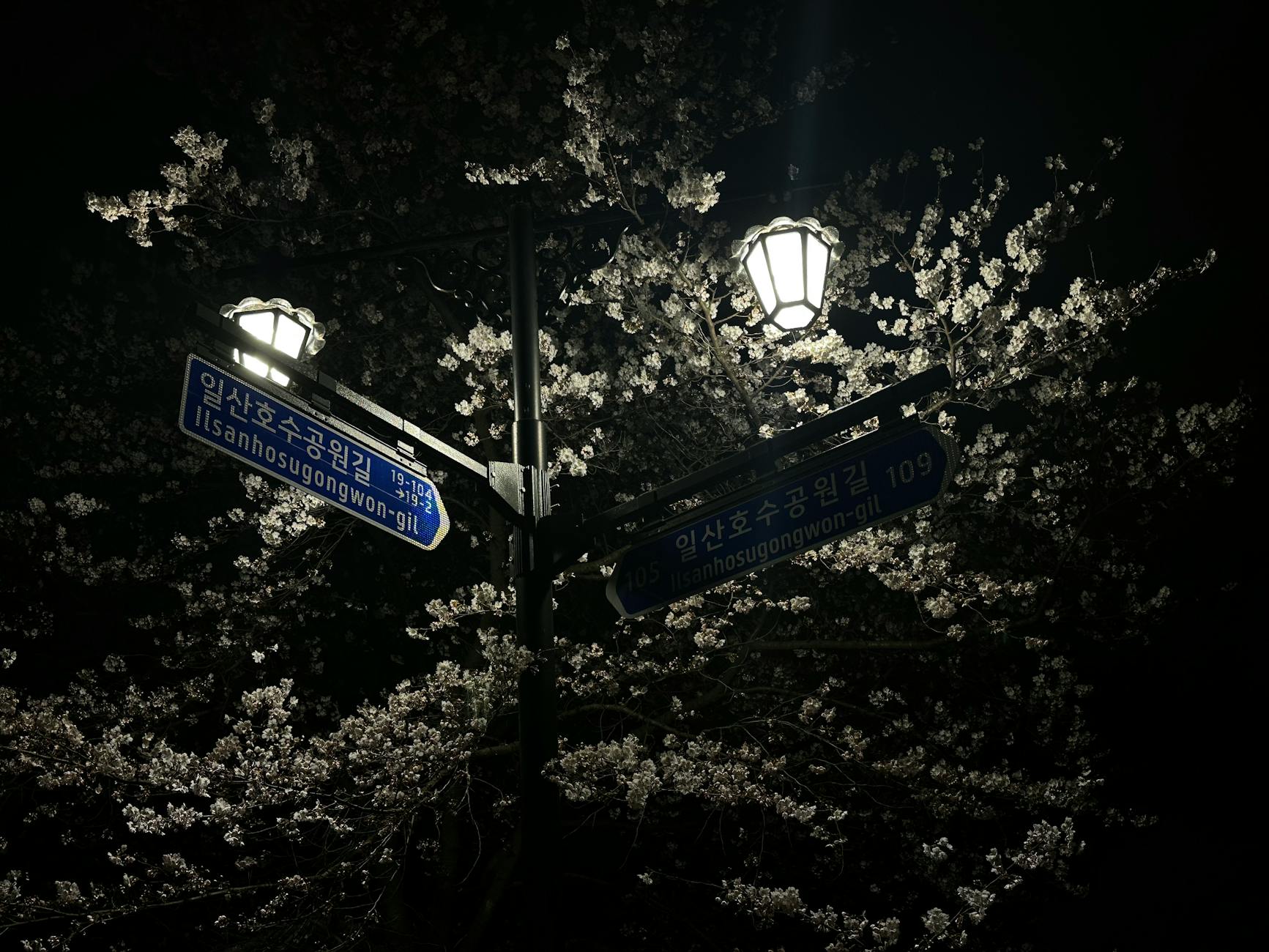 서울대 관악수목원 예약 방법과 이용 기준 확인