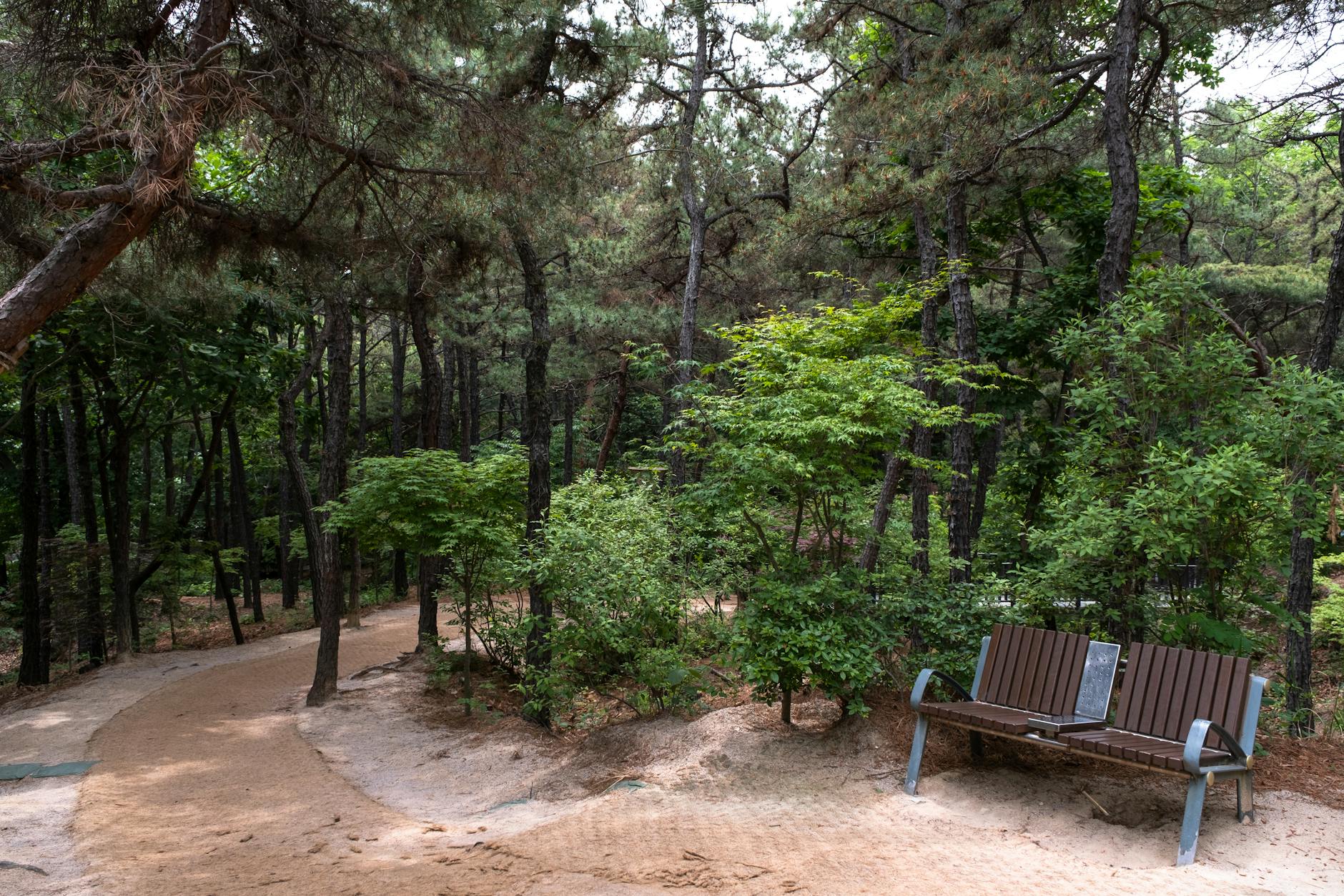 서울대 관악수목원 예약 방법과 이용 기준 확인