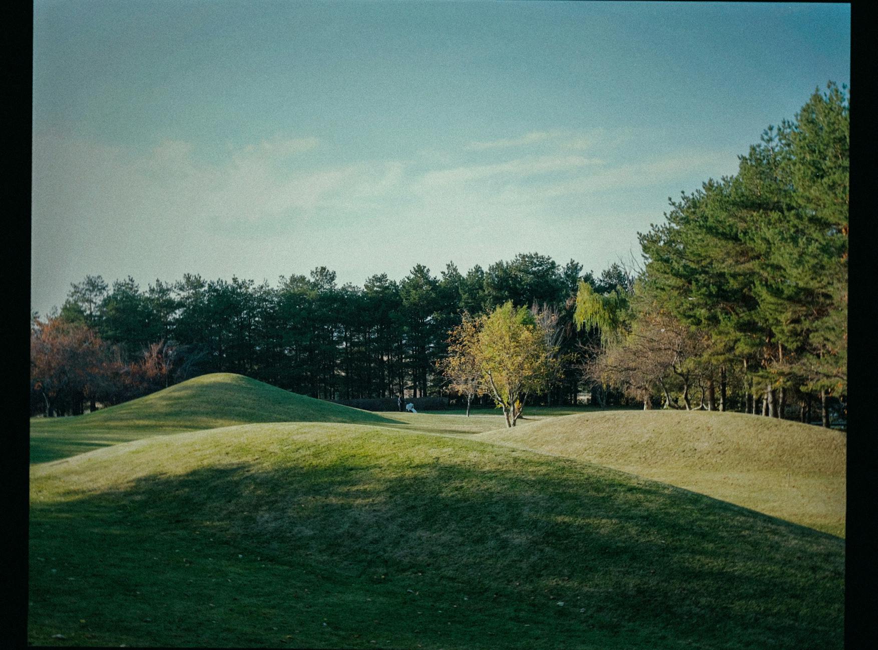 양촌파크골프 예약 방법과 이용 기준 확인