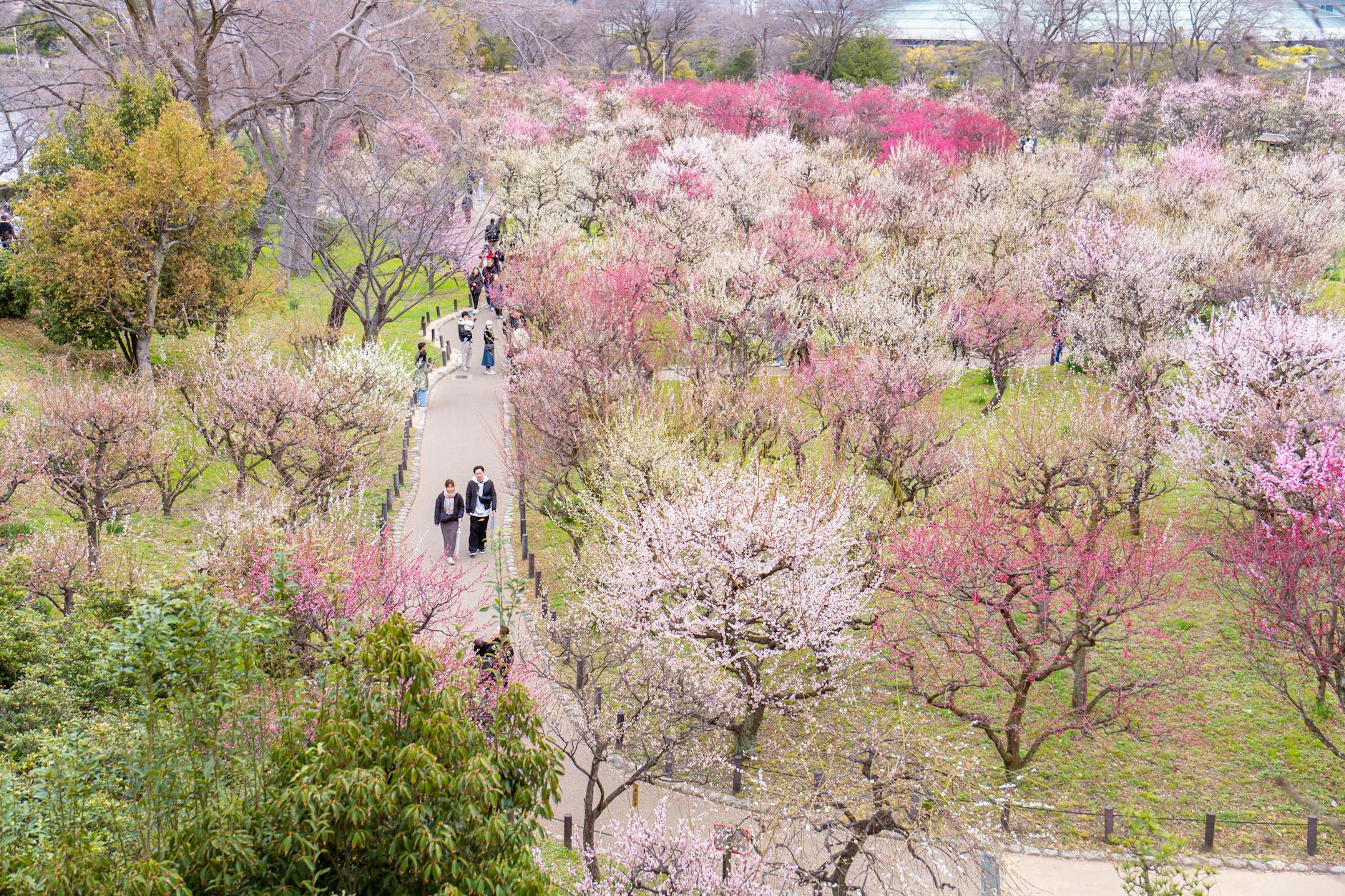 벚꽃 구경하며 자전거 코스 선택 기준 정리