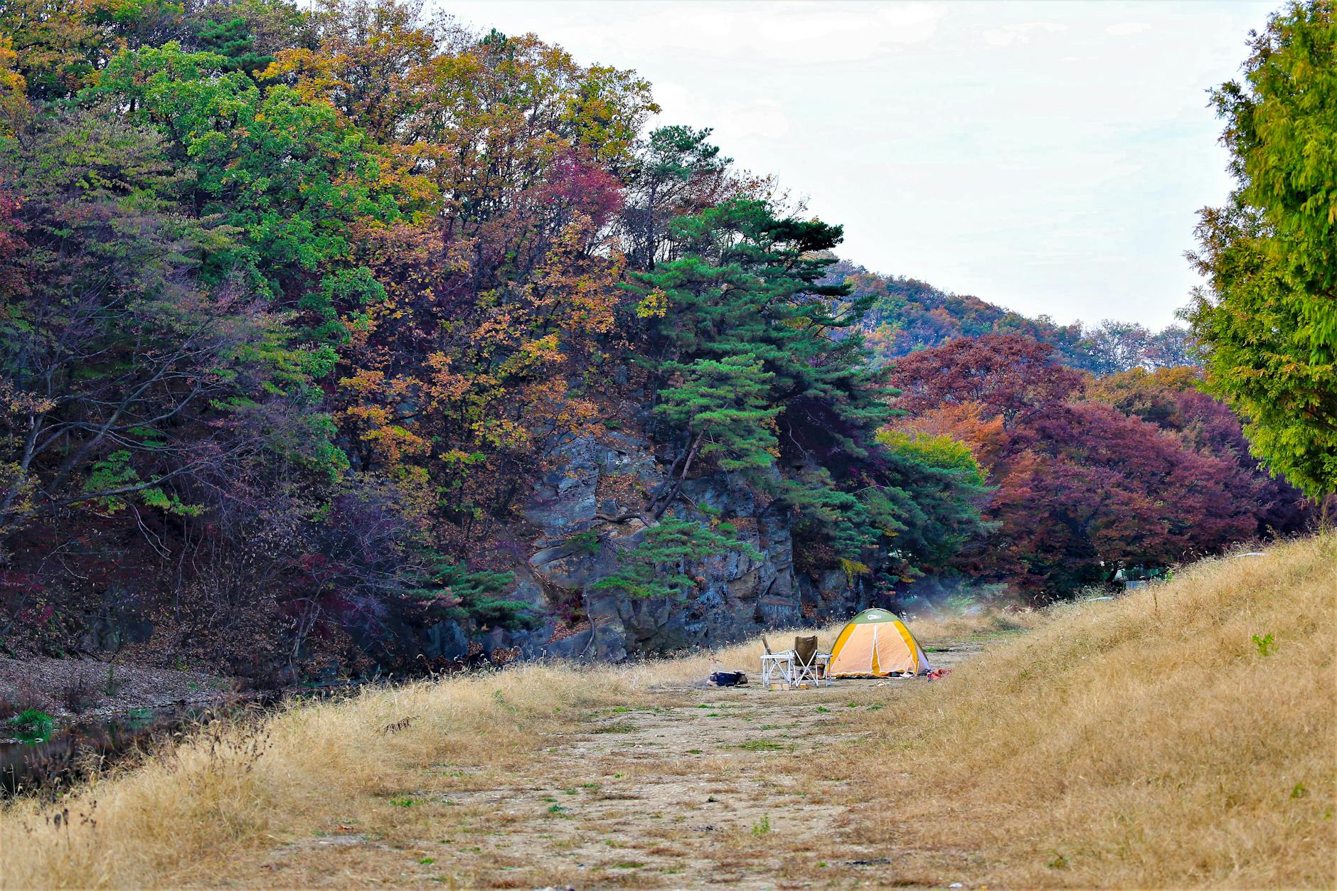 문암생태공원 캠핑장 예약 기준과 방법 확인
