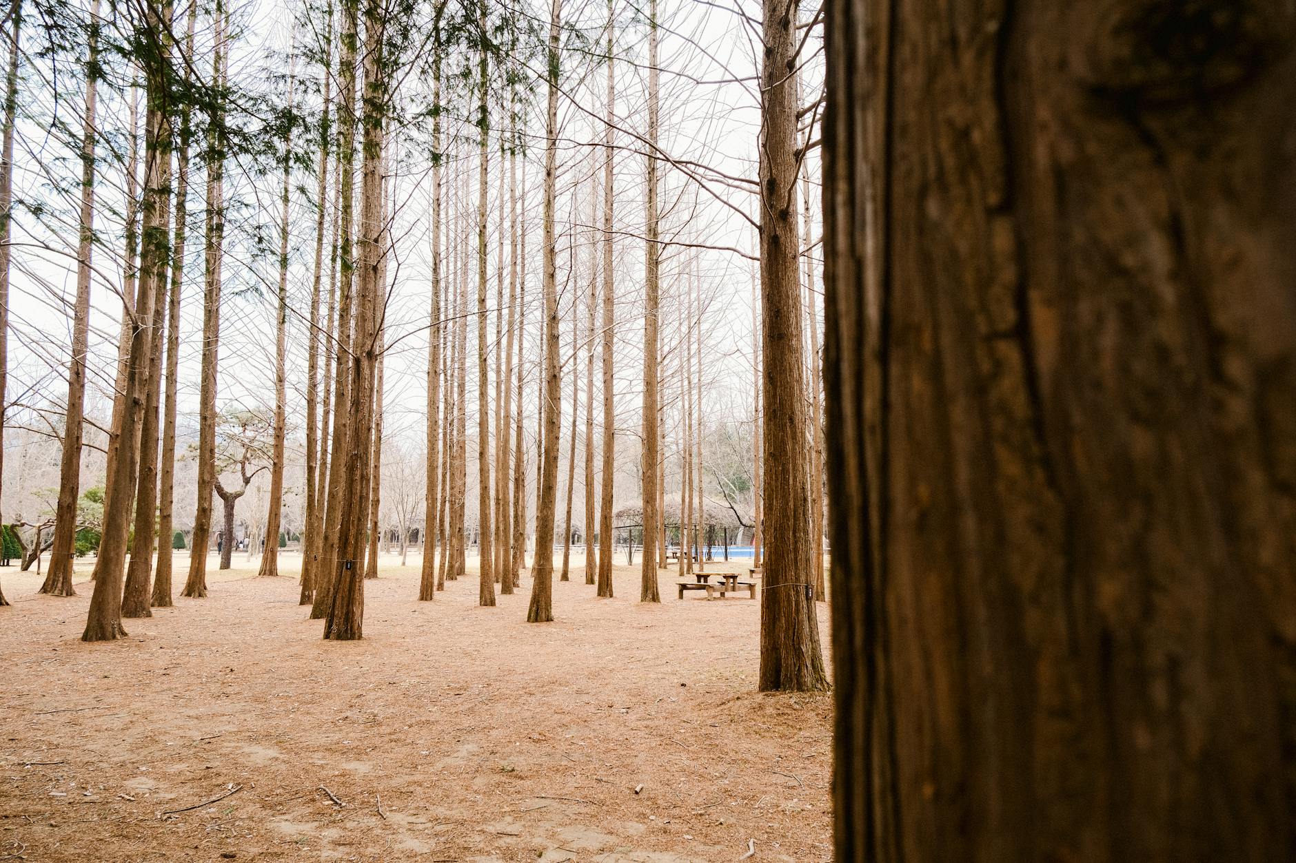 범방파크 예약 방법과 이용 기준 확인