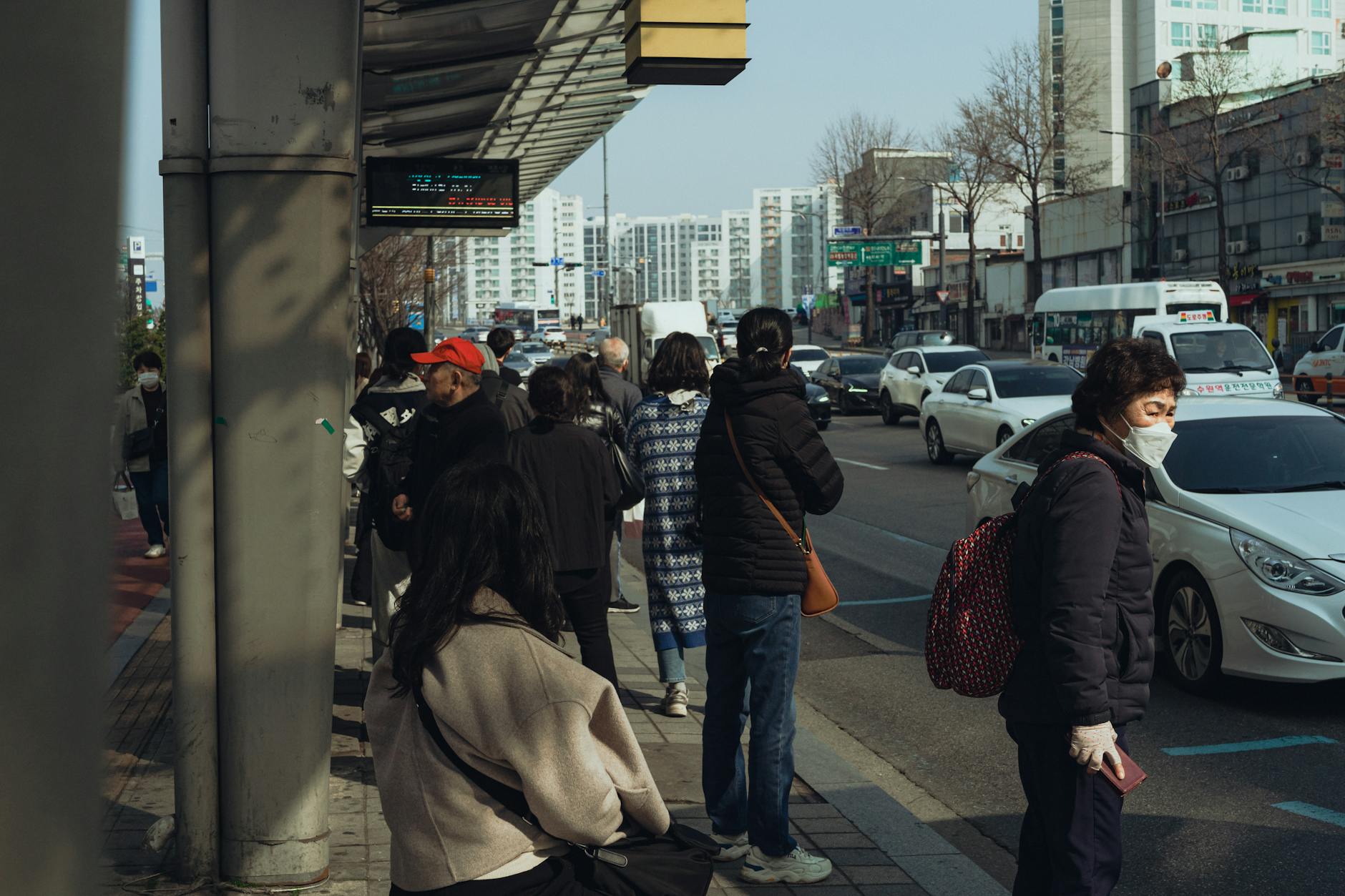 서울시티투어 타이거버스 예약하기 방법과 기준