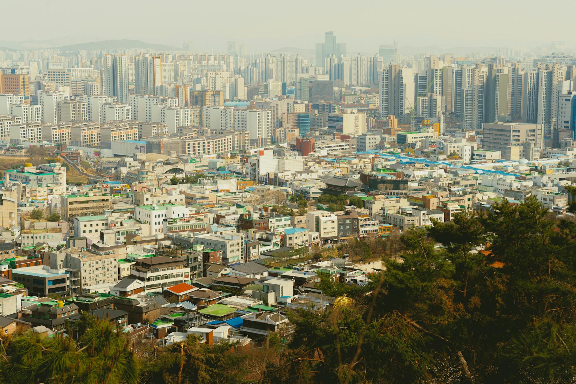 성남시 10만원 지원금 지급 기준과 신청 조건 확인