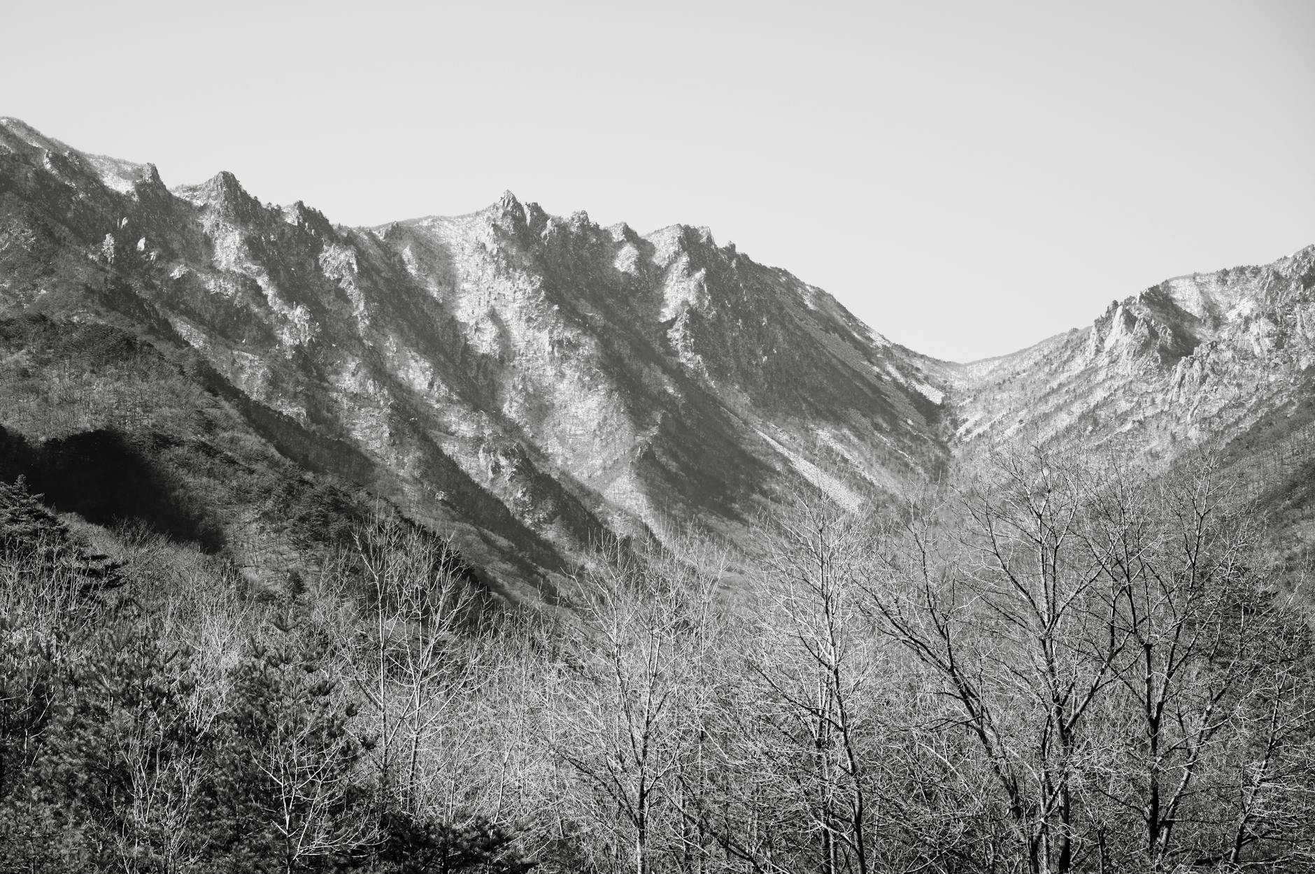 광주 동구 무등산 방문 기준과 코스 정리
