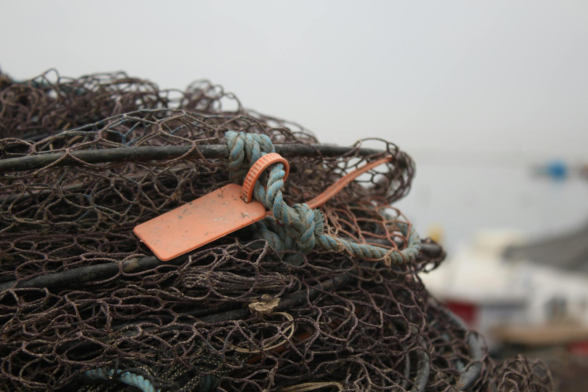 농어민 유가연동보조금 지급 기준과 조건 확인