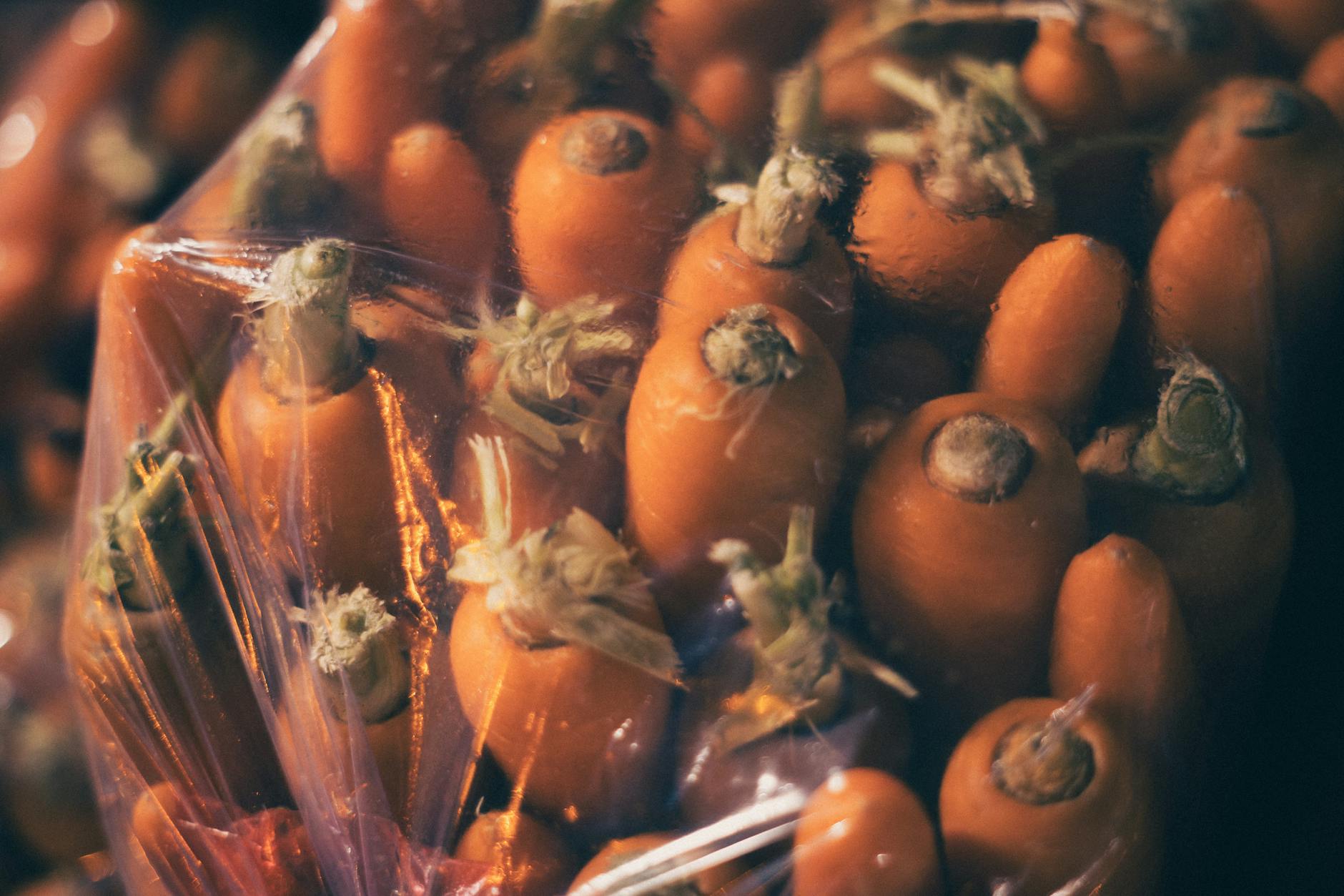 당근마켓 고객센터 전화번호 확인과 이용 기준