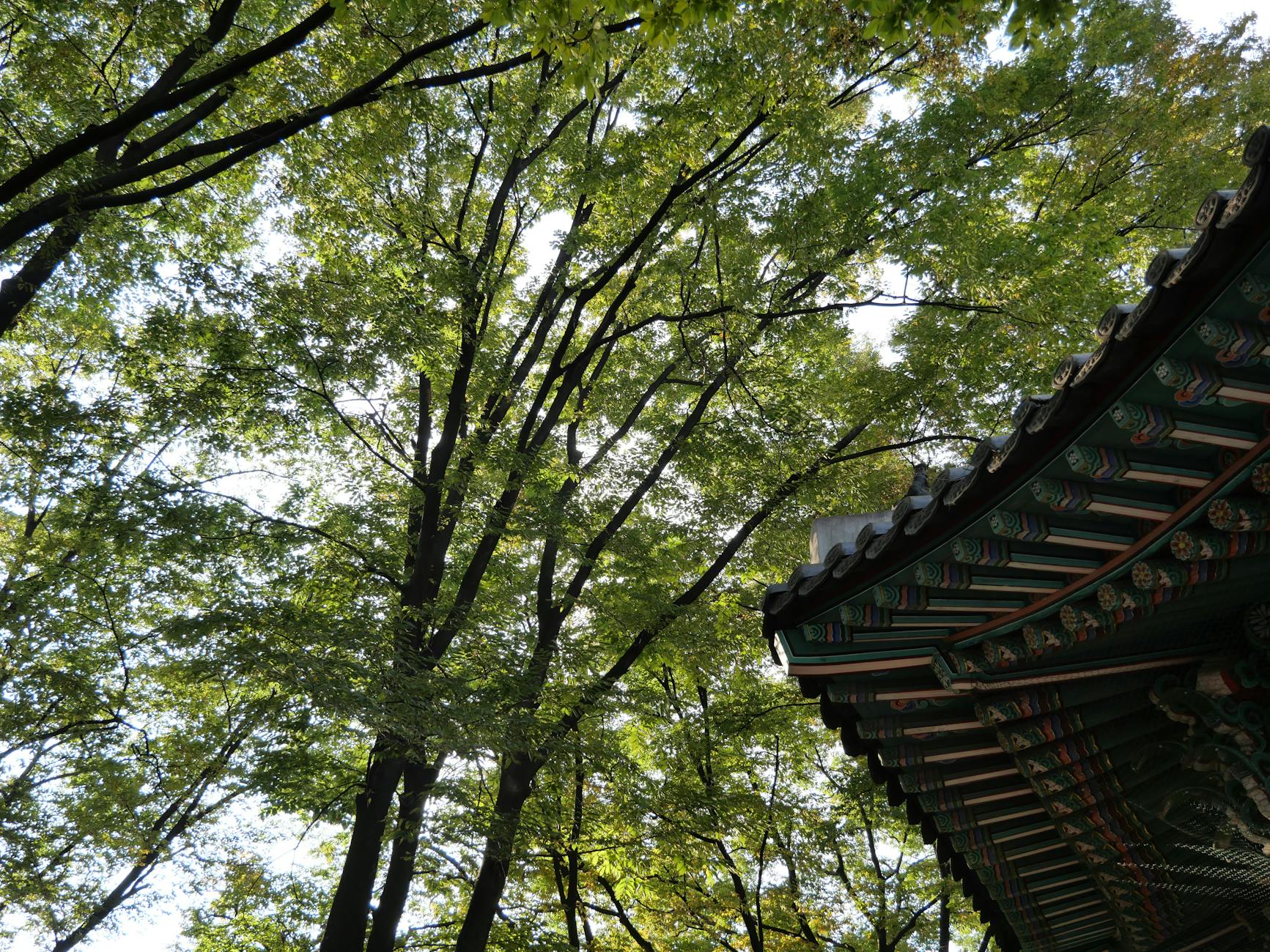 용인자연휴양림 예약 방법과 이용 기준 확인