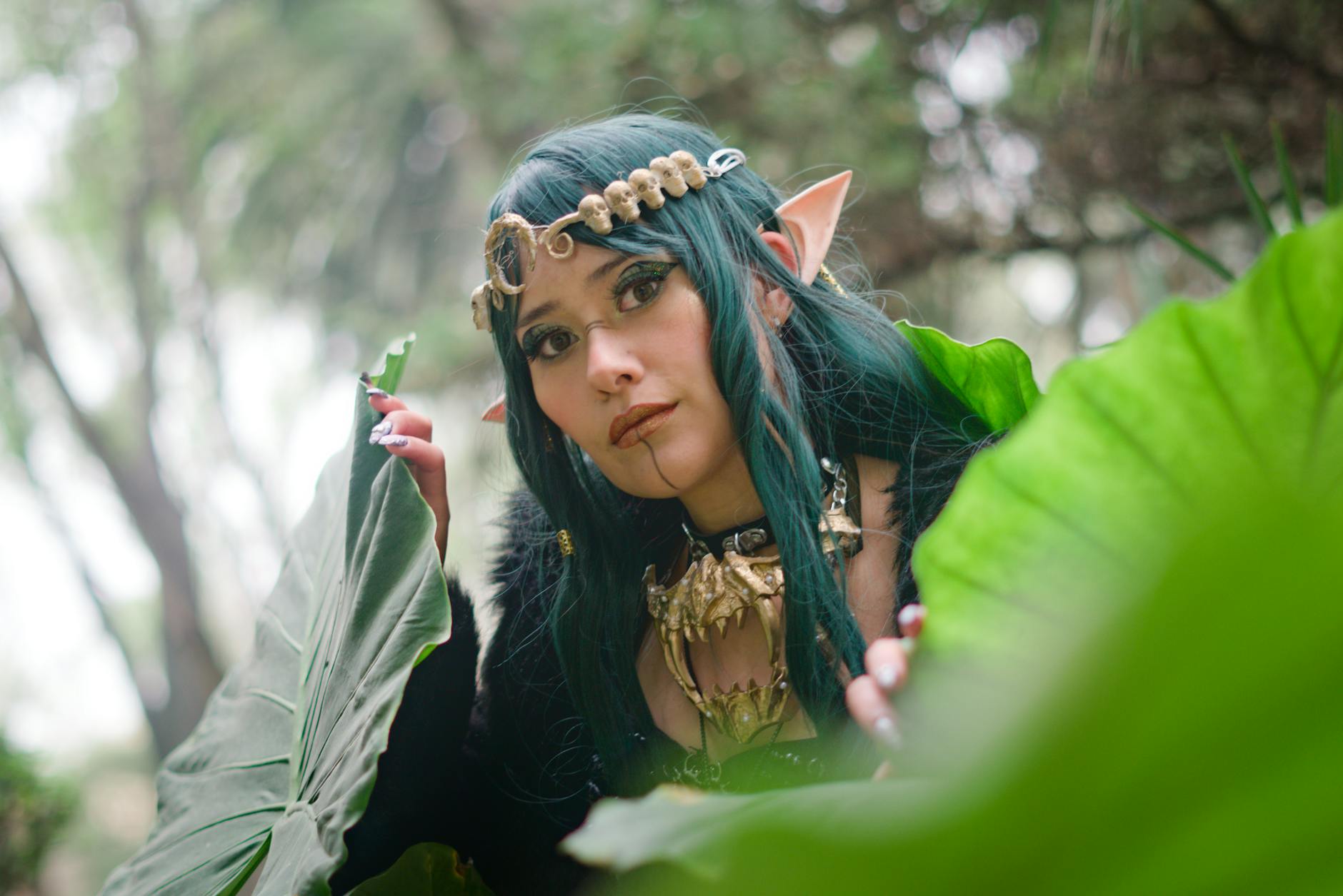 두릅 효능 부작용 먹는 방법 제철 총정리