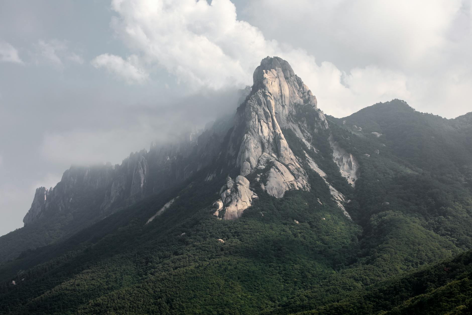 비슬산 등산 코스 추천 난이도 소요시간 완벽 가이드