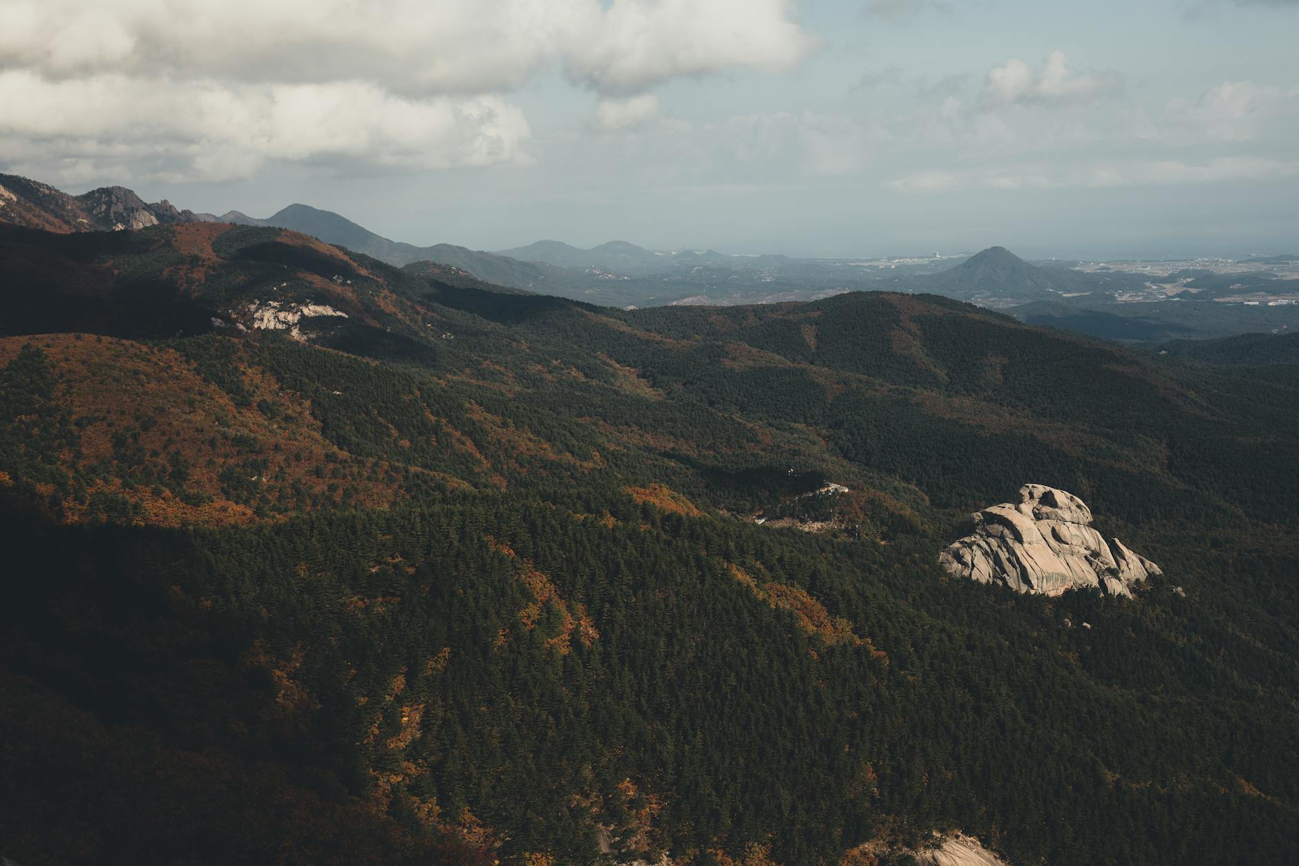 비슬산 등산 코스 추천 난이도 소요시간 완벽 가이드